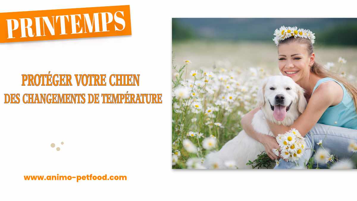 aider-votre-chien-a-s-adapter-aux-changements-de-temperature-au-printemps